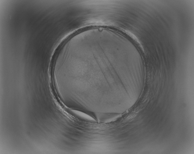 X0000068840935200606021705