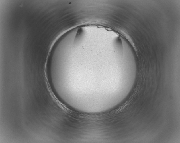 X0000068840936200606021705