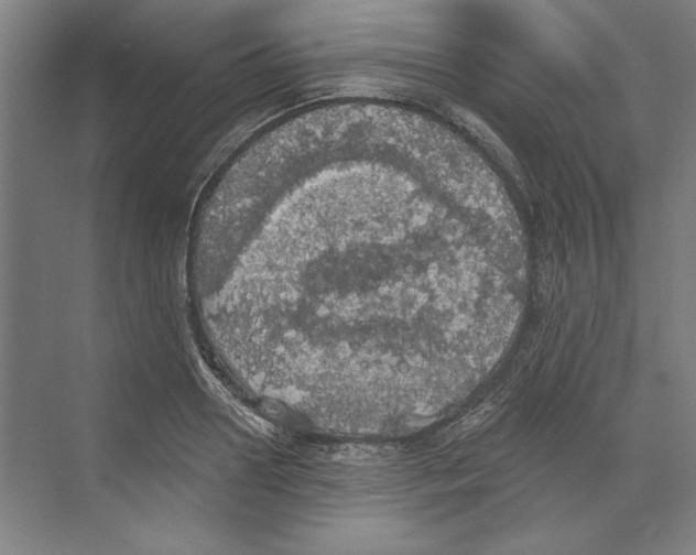 X0000068840938200606021705