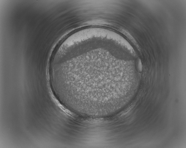 X0000068840939200606021705