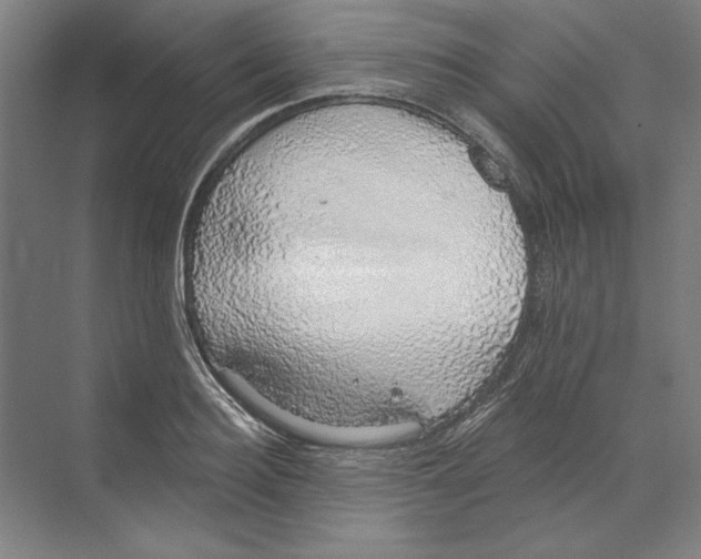 X0000068840940200606021705