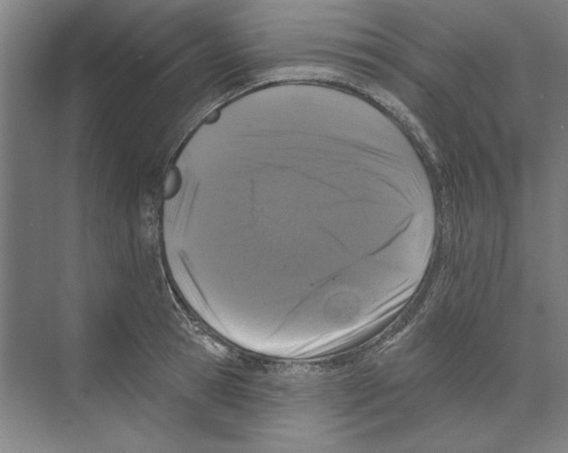 X0000068840945200606021705