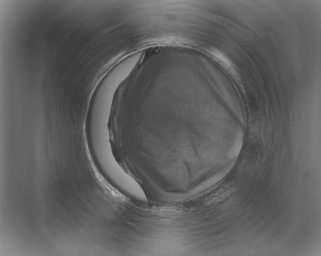 X0000068840946200606021705