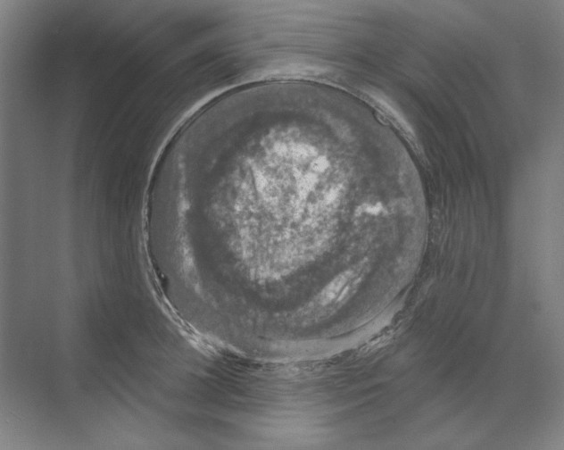 X0000068840948200606021705