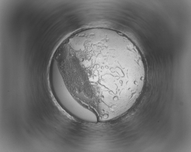 X0000068840949200606021705