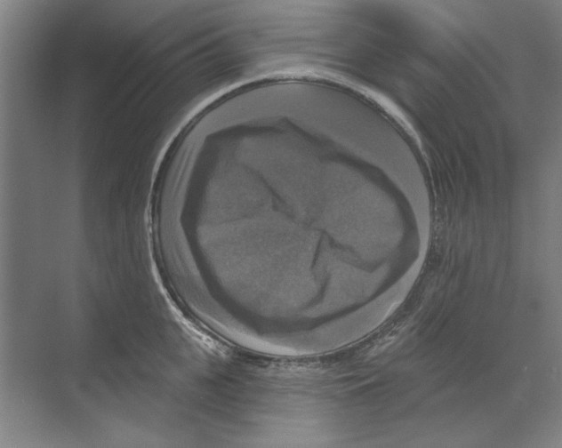 X0000068840951200606021705