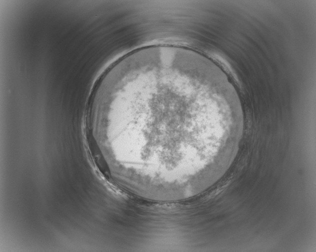 X0000068840952200606021705