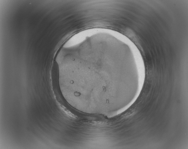 X0000068840954200606021705