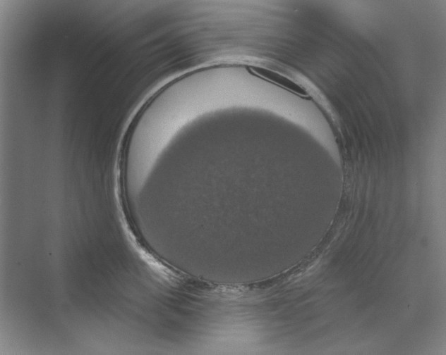 X0000068840955200606021705