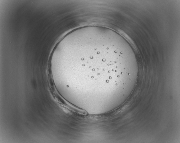 X0000068840956200606021705