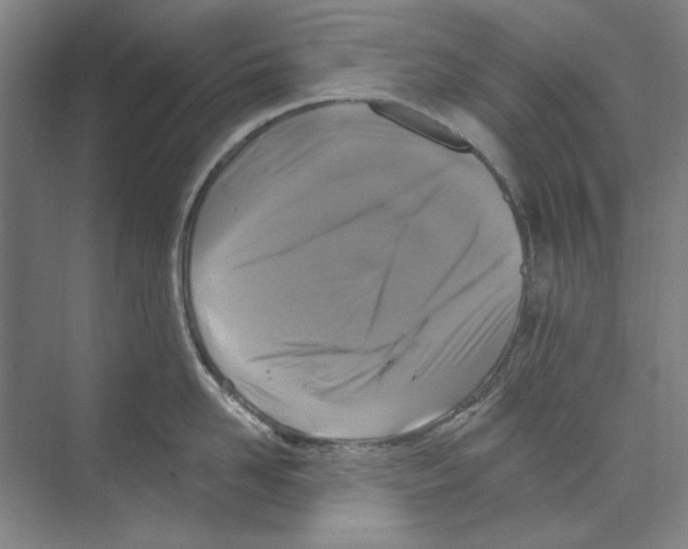 X0000068840958200606021705