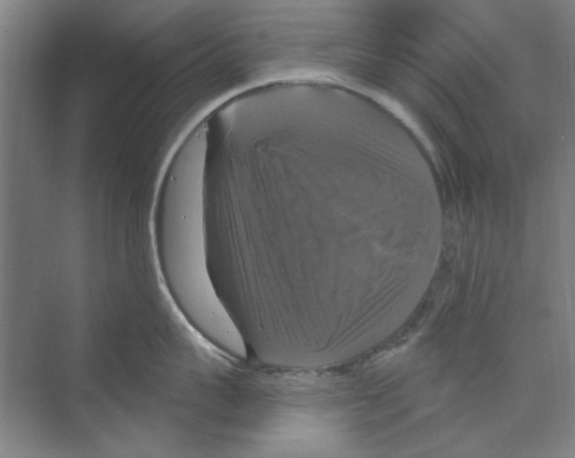 X0000068840959200606021705