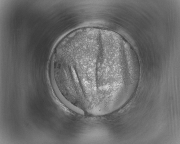 X0000068840960200606021705