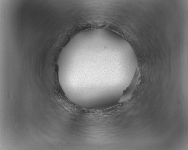 X0000068840961200606021704