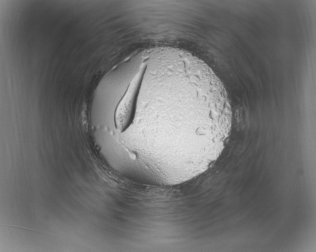 X0000068840963200606021704