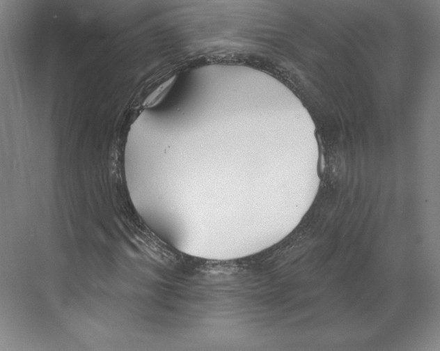 X0000068840964200606021704