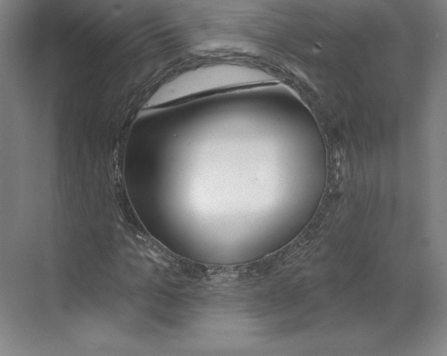 X0000068840965200606021704