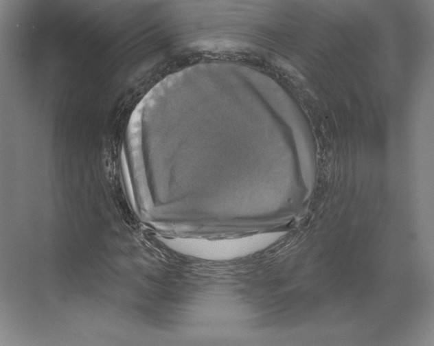 X0000068840966200606021704