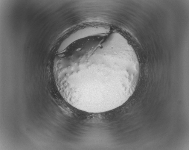 X0000068840968200606021704