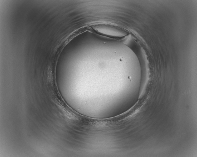 X0000068840969200606021704