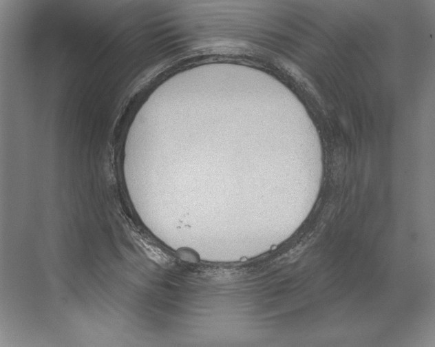 X0000068840970200606021704