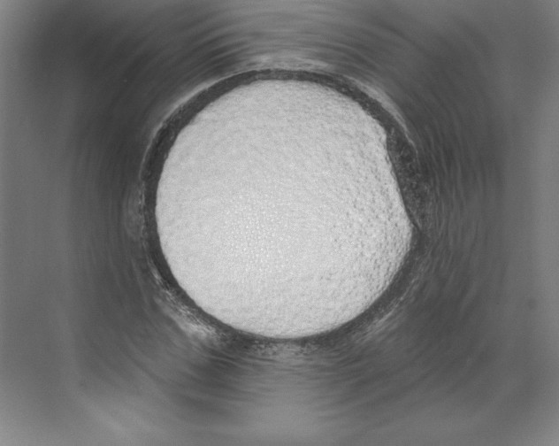 X0000068840971200606021704