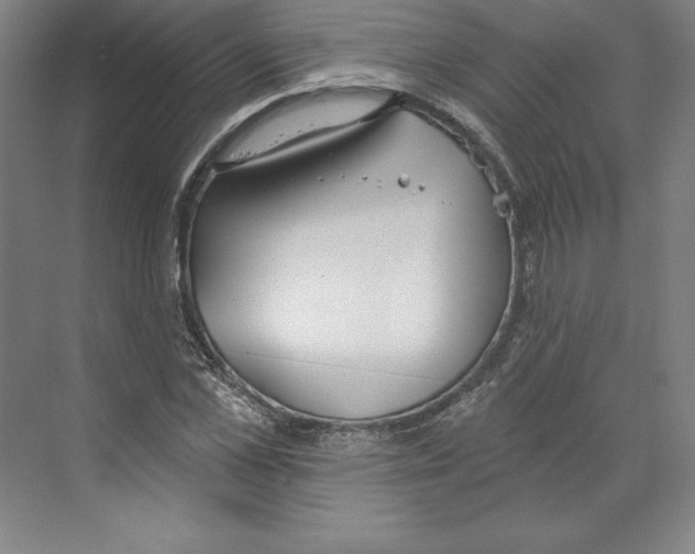 X0000068840973200606021704