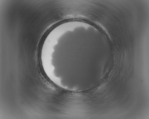 X0000068840975200606021704