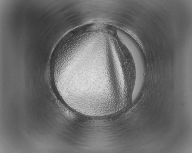 X0000068840976200606021704