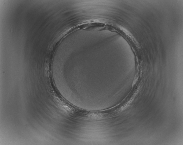 X0000068840977200606021704