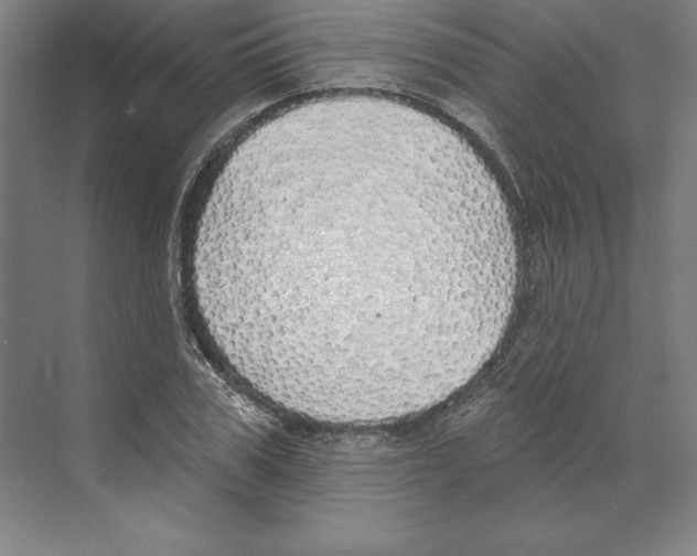 X0000068840979200606021704