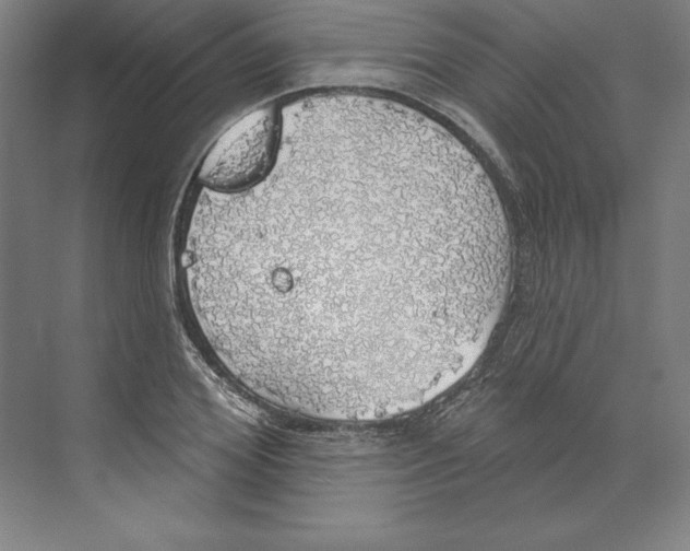 X0000068840980200606021704