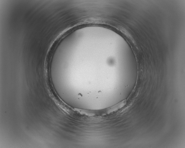 X0000068840981200606021704