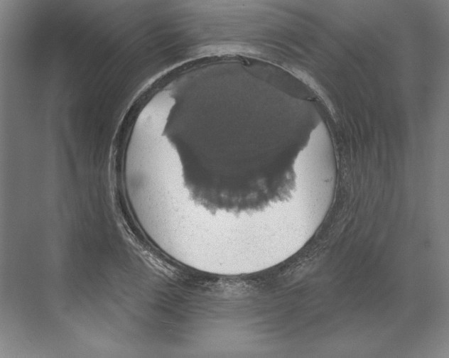 X0000068840983200606021704