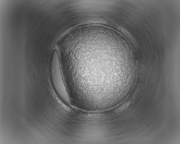 X0000068840985200606021704