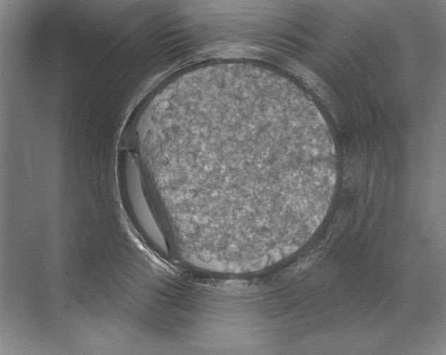 X0000068840986200606021704