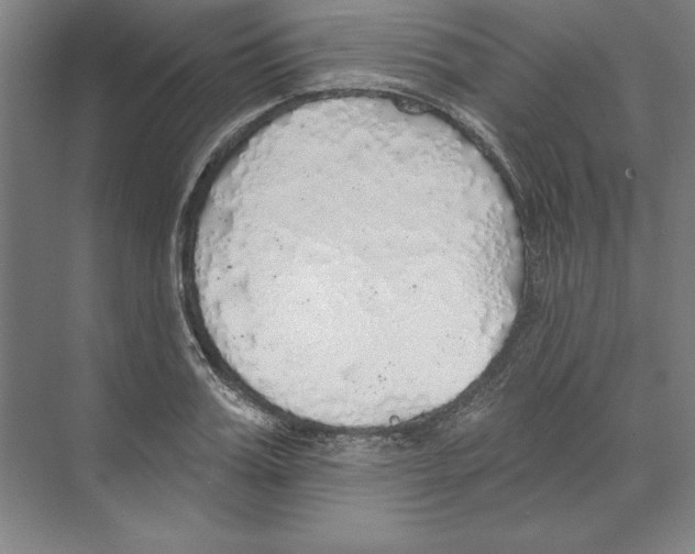 X0000068840987200606021704