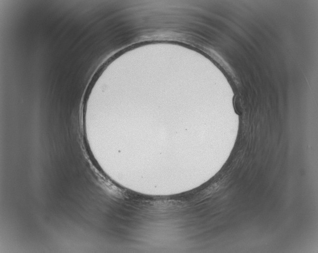 X0000068840988200606021704