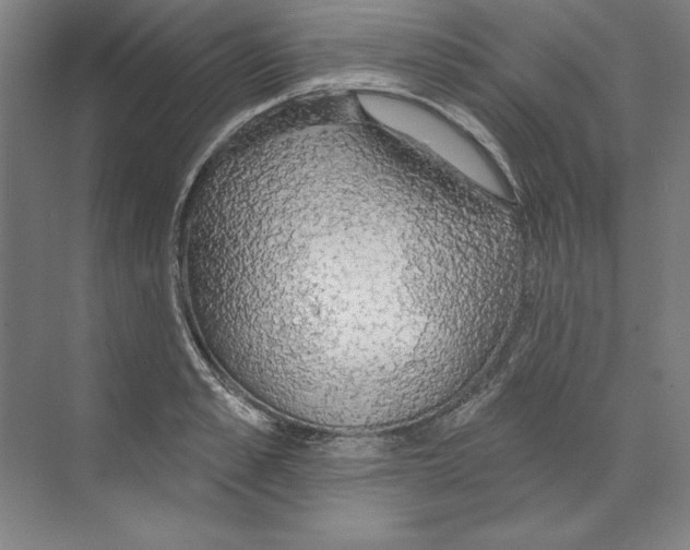 X0000068840989200606021704