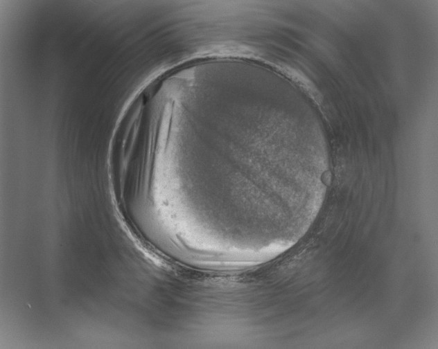 X0000068840990200606021704