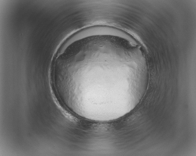 X0000068840991200606021704