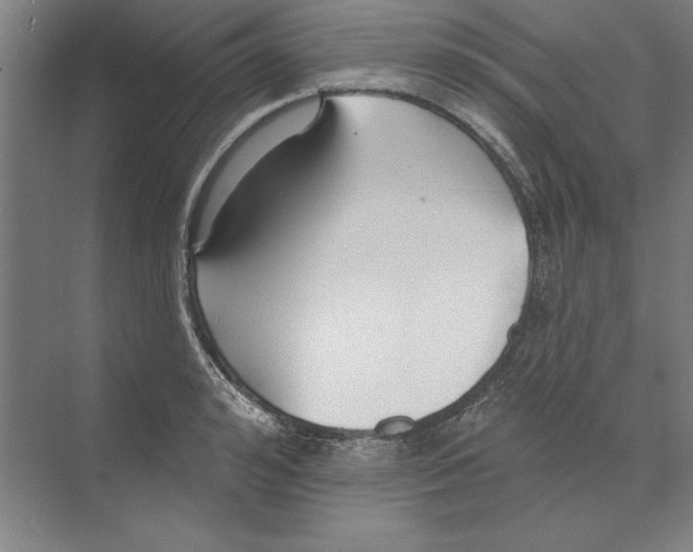 X0000068840992200606021704