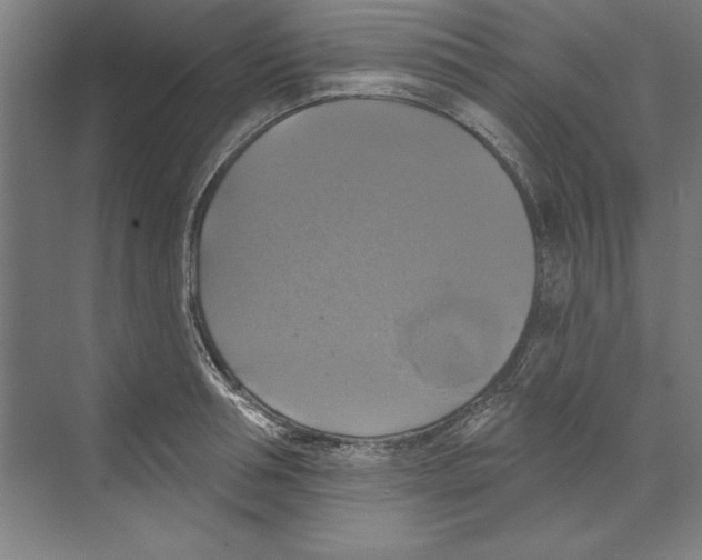 X0000068840994200606021704