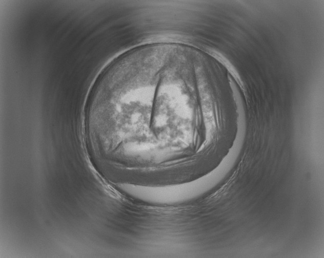 X0000068840996200606021704