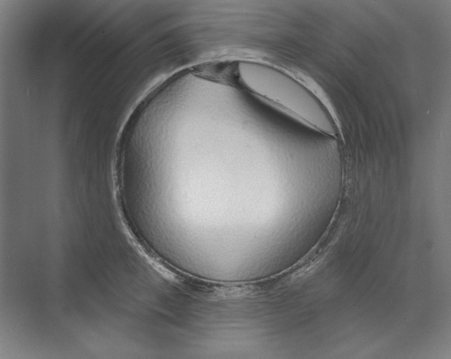 X0000068840997200606021704