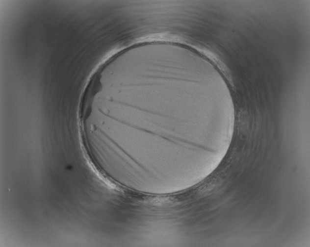 X0000068840998200606021704