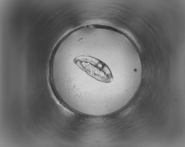 X0000068840999200606021704