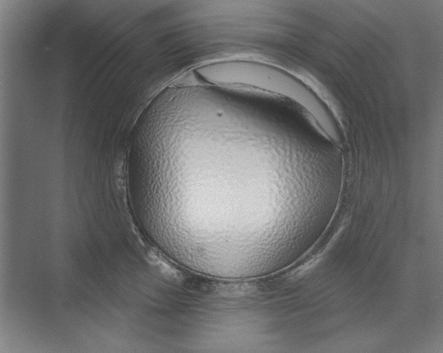 X0000068841001200606021704