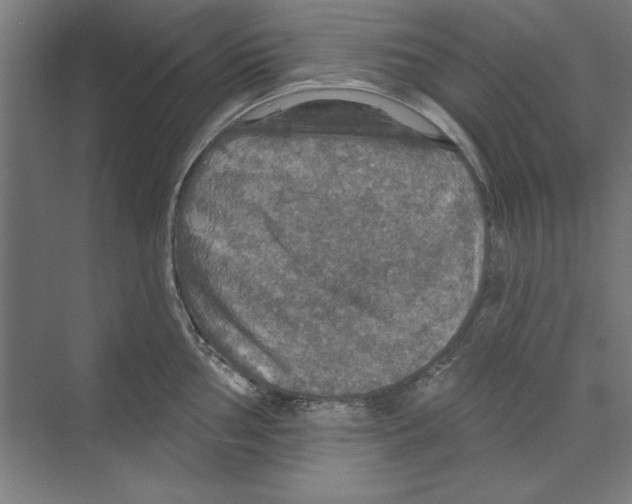 X0000068841002200606021704