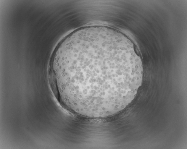 X0000068841003200606021704